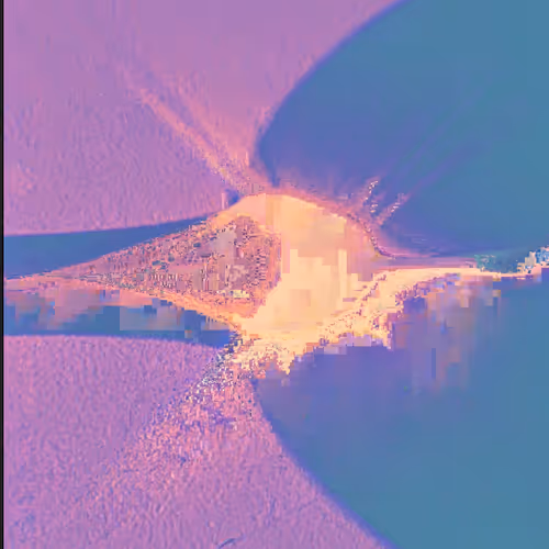 Creativity is my Foundation, Editions