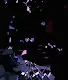 In Limbo
