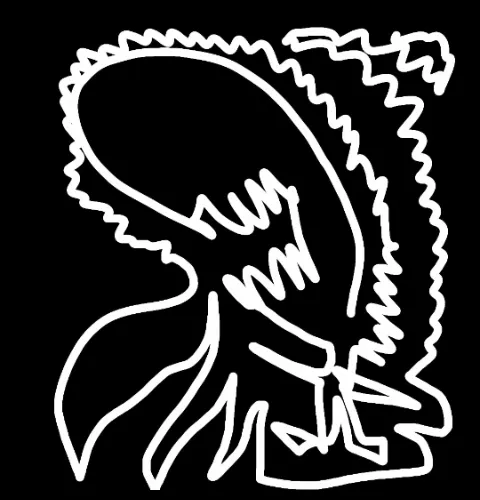 Black and white by RENOV