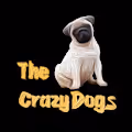 Punk and Crazy Dog - old