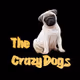 Punk and Crazy Dog - old