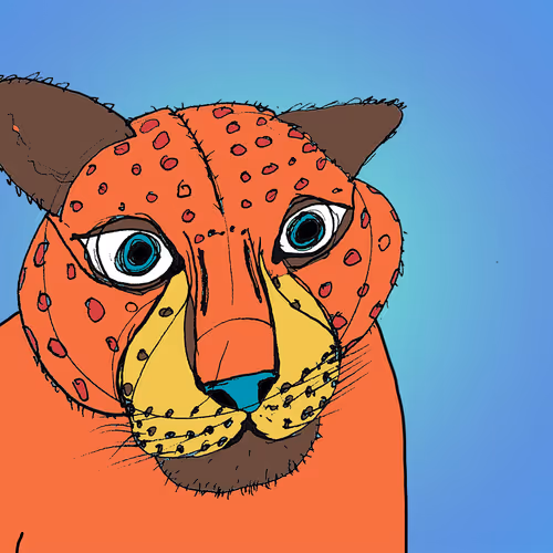 Gravity Shmavity Illustrations