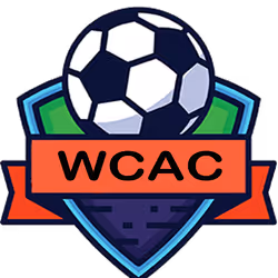 项目媒体占位符