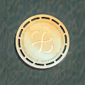 MBTI-COINS