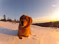 The Great Outdoors!