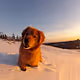 The Great Outdoors!
