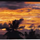 paradise on earth click#