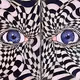 RealEYES Renditions