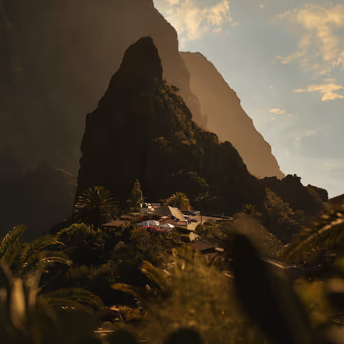 Open Editions - Alexandru Chitu