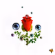Rose and Eyes - andriimuzhytskyi_art