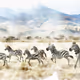 Ephemeral Wilds: Painted African Wildlife