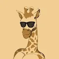 Giraffes With Attitude
