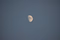 PerfectMoon