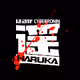 CyberRonin Haruka