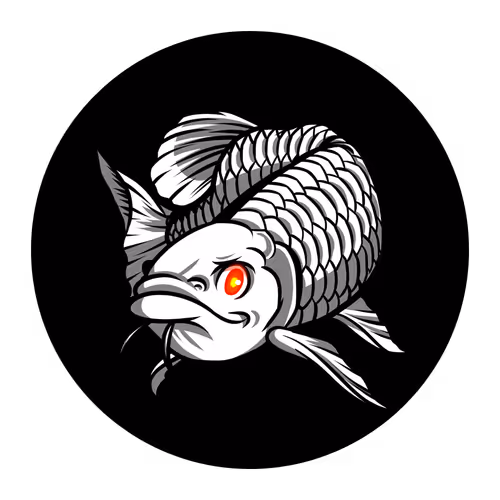 Dragon  Fish  Tokyo Official