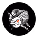 Dragon  Fish  Tokyo Official