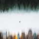 The Lone man