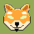 Shiba Dudes