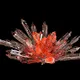 WORLD OF CRYSTALS
