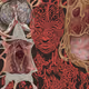 Anatomy - Maison Spaulding