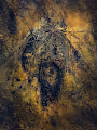 pozo abstract