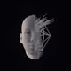 XFACE