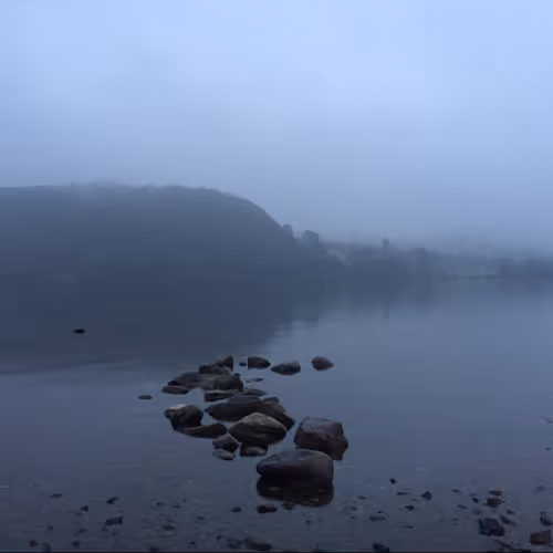 Fells Collaboration Token