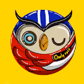 owly u "wisdom village" owly race