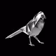 Shiny Magpies