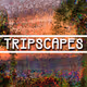 TripScapesNFT