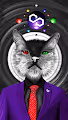 CRYPTO CAT MATIC