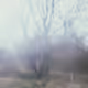 aether /