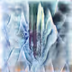 Trove Proxima