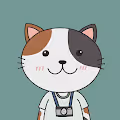 Travel Cat 101