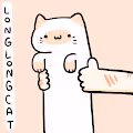 Baby Long Long Cat