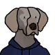 DegenHounds