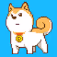 Shibu Shiba: Fashionable Shiba Inus from Shibuya