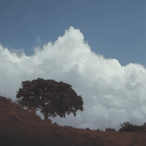 One place different skies