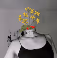 Botanic's sins
