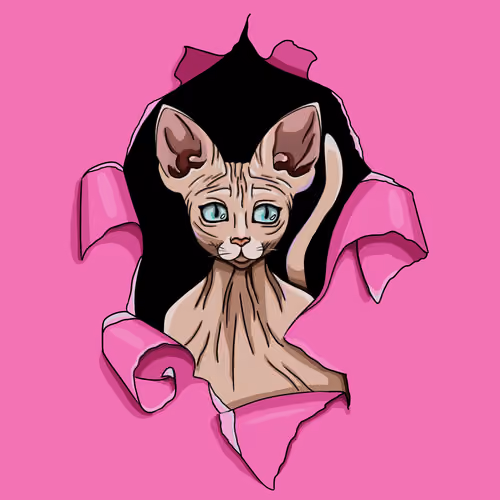 SPHINx_NFT