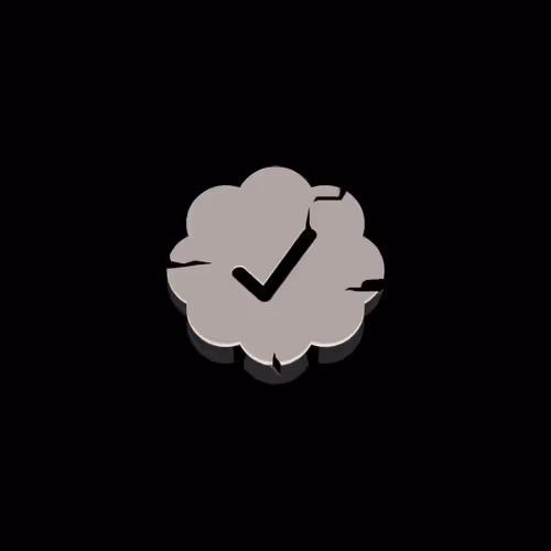 Checks - Steve Edition