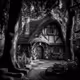 Enchanted Forest Dwellings
