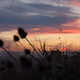 Puestas de sol