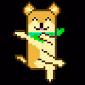 SHIBA FUNNY - old