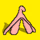 8Clit