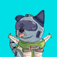 AOKI DOGE