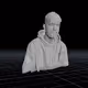 The 3D piggyverse