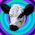 cowdies