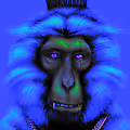 G40. Crazy Crowned Monkeys.