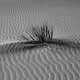 Gypsum Lines by Donna Martinez
